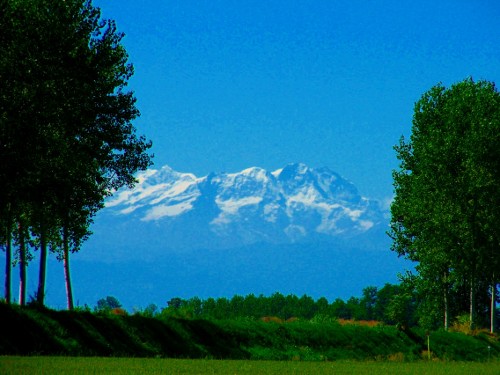 alpi