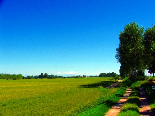 clima